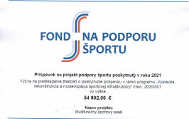 fond na podporu športu