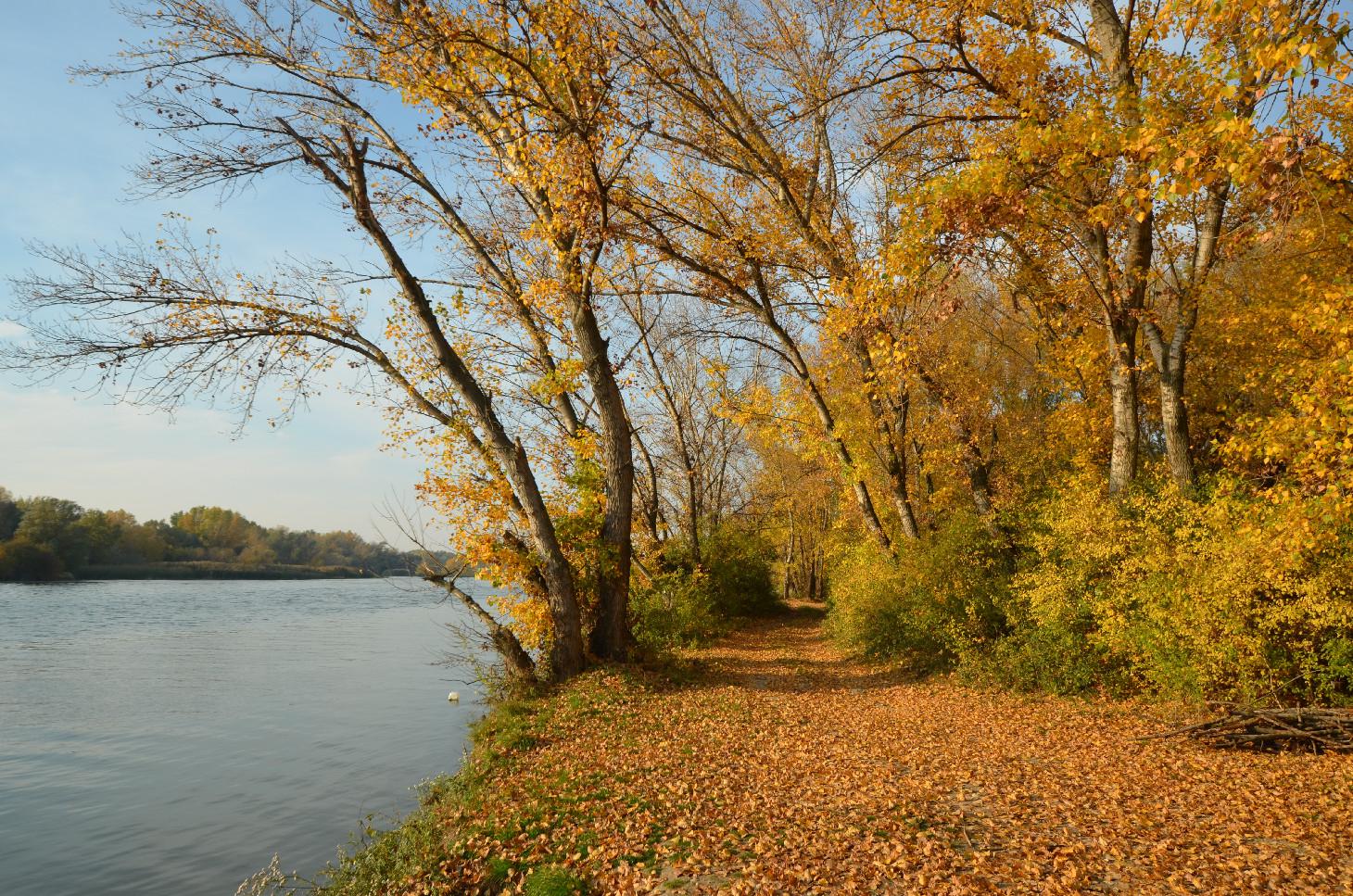 Obec Šintava Oficiálné stránky obce Šintava